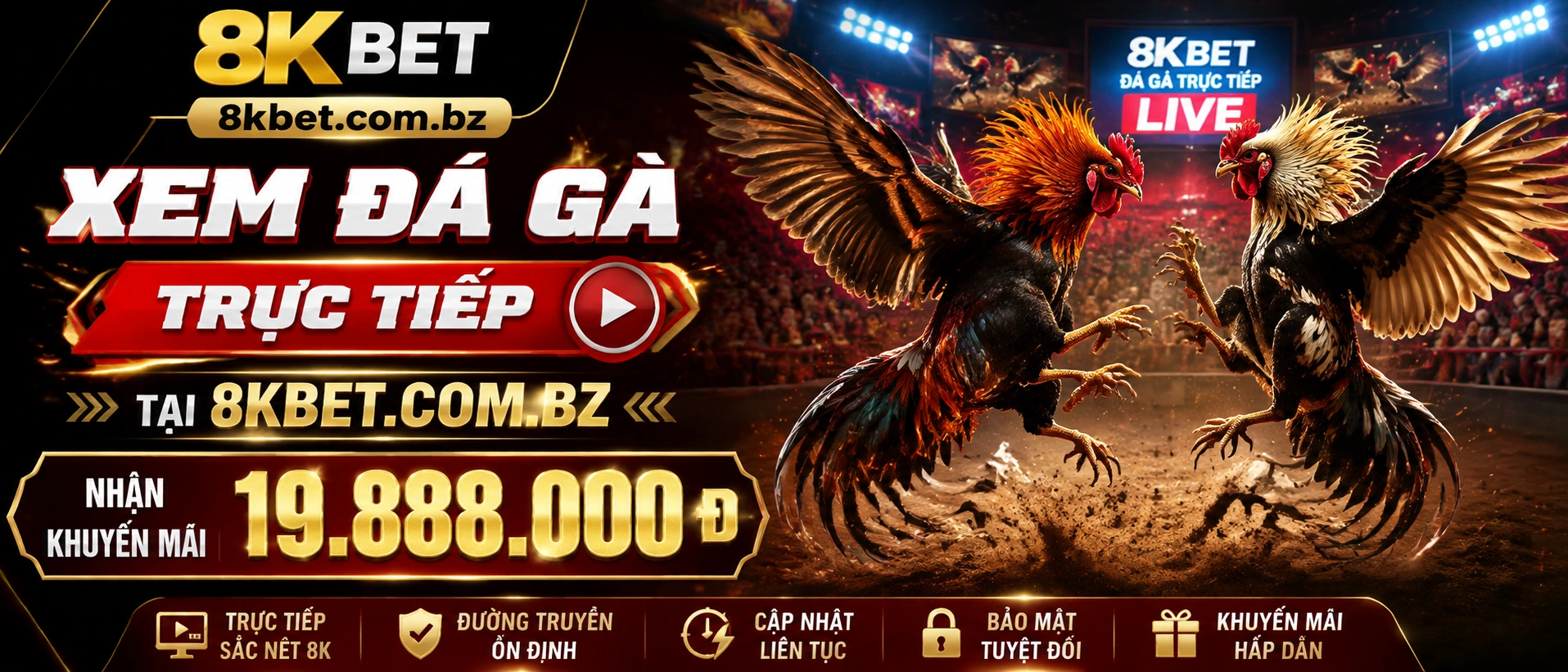 Đá Gà Thomo và phòng xem trực tiếp